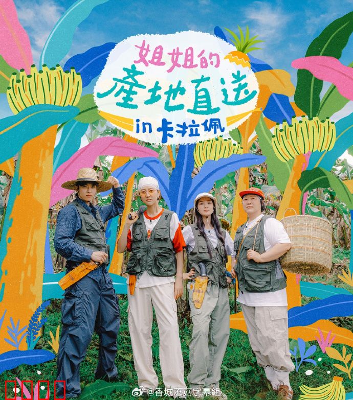 姐姐家的产地直送3：乡村温情