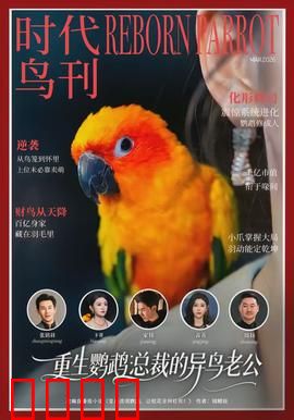 重生鹦鹉：轮回复仇