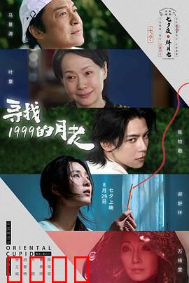 寻找1999的月老：穿越时空的告白