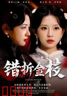 错折金枝：公主逆袭传奇