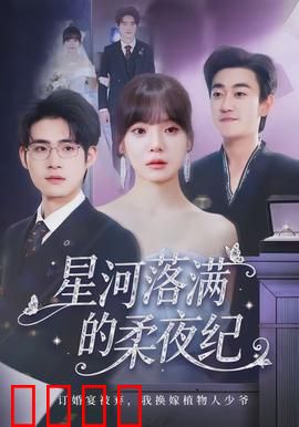 星河落满的柔夜纪：星际情书