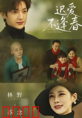 迟爱不逢春：错过的缘分