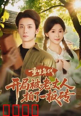 重生年代开局被老丈人拍了一板砖：逆袭创业路