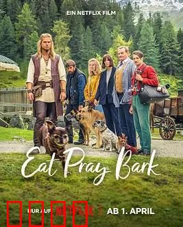 汪星人训练营：笑中带泪的蜕变