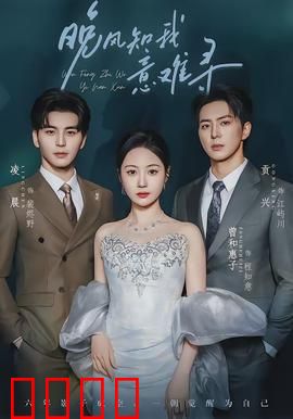 晚风知我意难寻：错过的爱