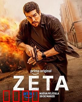 谍杀风暴：暗影迷踪