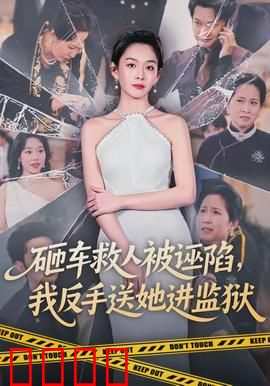 砸车救人被诬陷，我反手送她进监狱：反转爽到爆