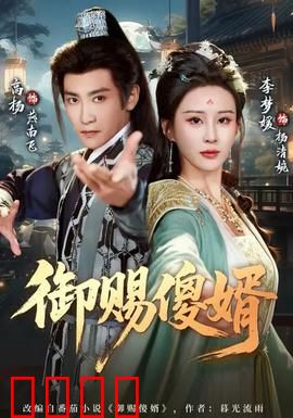 御赐傻婿：傻婿逆袭