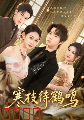 寒枝待鹤鸣：孤岛谜案