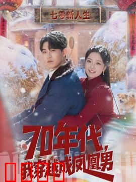 年代，我穿越成凤凰男：逆袭传奇