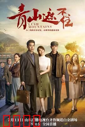 青山遮不住：无悔坚守