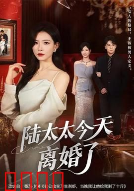 陆太太今天离婚了：逆袭豪门