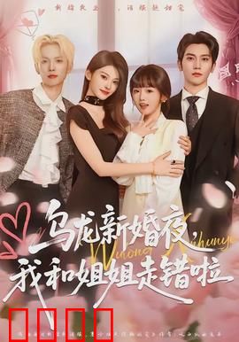 乌龙新婚夜，我和姐姐走错啦：一错再错