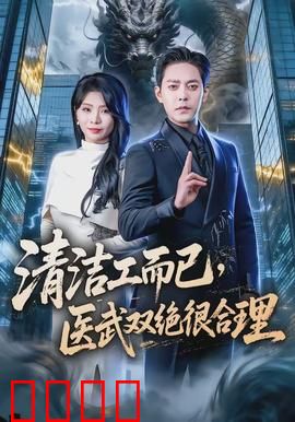 清洁工而已，医武双绝很合理：隐藏高手