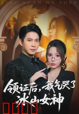 领证后，我气哭了冰山女神：婚后反差萌