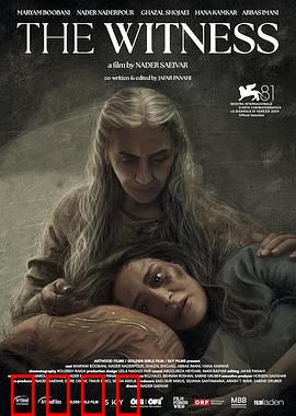 证人2024：真相迷宫