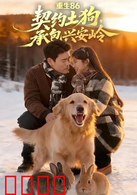 《重生86：逆袭人生