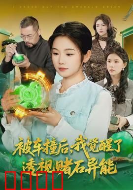 被车撞后，我觉醒了透视赌石异能了：逆袭赌石王