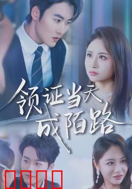 领证当天成陌路：新婚即离婚