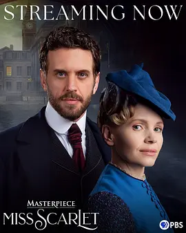 斯嘉丽小姐探案集第六季：智破连环案