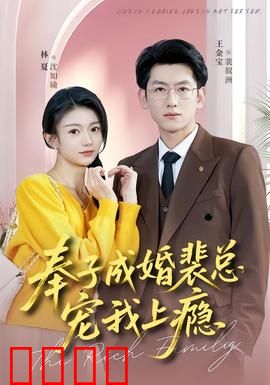 奉子成婚裴总宠我上瘾：一夜情后带球跑