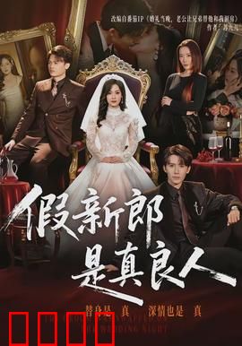 假新郎是真良人：替身新娘逆袭记
