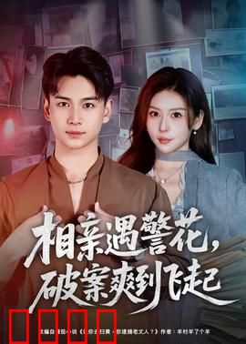 相亲遇警花，破案爽到飞起：天降奇缘