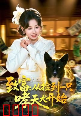 致富：从零到百万的逆袭