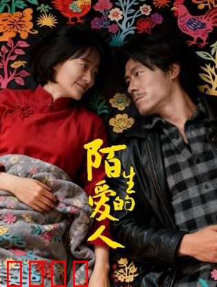 陌生的爱人：一场错位的爱