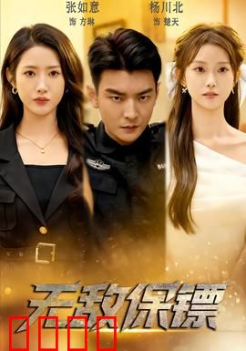 无敌保镖：铁血守护