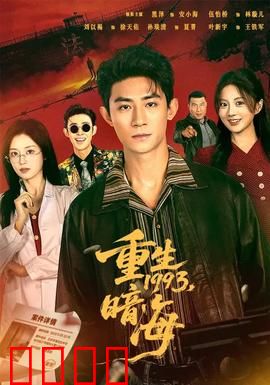 重生1993：数字逆袭