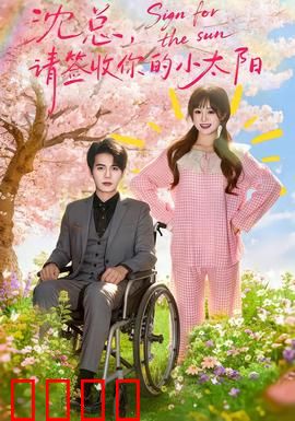 沈总，请签收你的小太阳：追妻火葬场