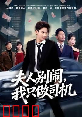 夫人别闹我只做司机：司机逆袭记