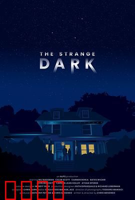 奇异黑暗：暗夜吞噬真相