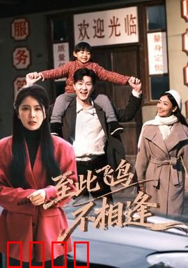 到此飞鸟不相逢：错过的永恒