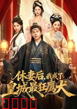 休妻后，我成了皇城最狂鹰犬：逆袭风暴