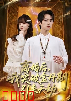 离婚后，我突破金丹期，引来天劫：逆袭狂飙
