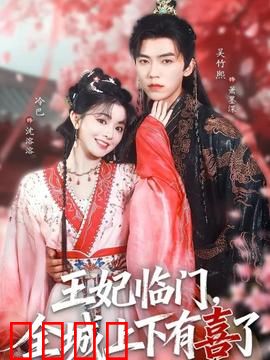王妃临门全城上下有喜了：逆袭宠文