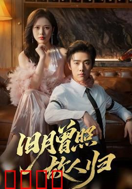 旧月曾照故人归：月下重启旧梦缘