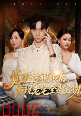 觉醒透视眼后，发觉老宅全是宝物：一眼识宝逆袭人生