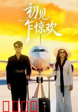 初见乍惊欢：错位时光的爱恋