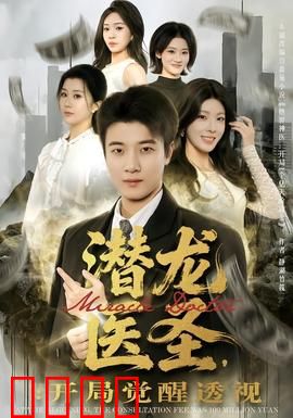 潜龙医圣，开局觉醒透视：逆天医术破局