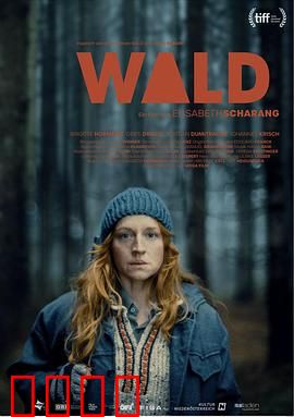 走出丛林：荒野求生记