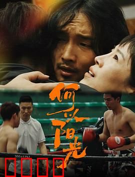 何以阳光：照亮迷失的心