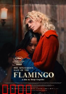 弗拉明戈的神秘眼神：一曲悲歌