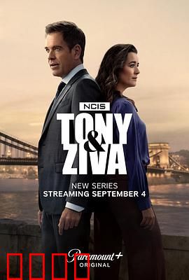 海军罪案调查处：特工破案实录