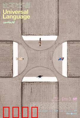 共同的语言：无声的羁绊