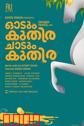 一匹马奔跑，一匹马跳跃：草原上的命运交响曲