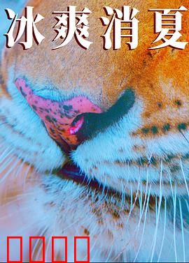 寒冰白血：冰封真相