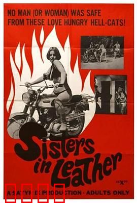 皮衣姐妹：暗黑都市传奇